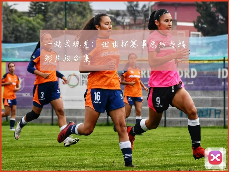 一站式观看：世俱杯赛事总结与精彩片段合集