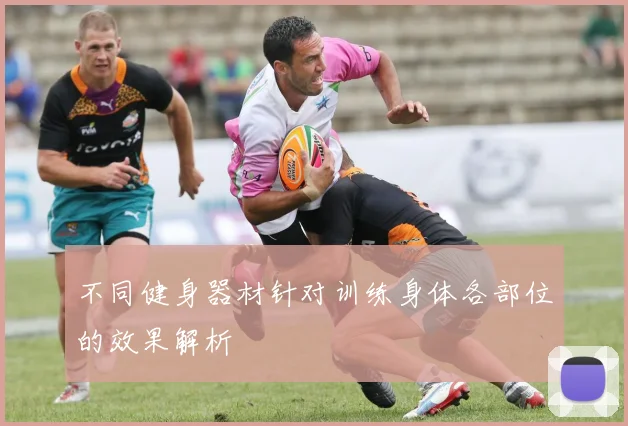 不同健身器材针对训练身体各部位的效果解析