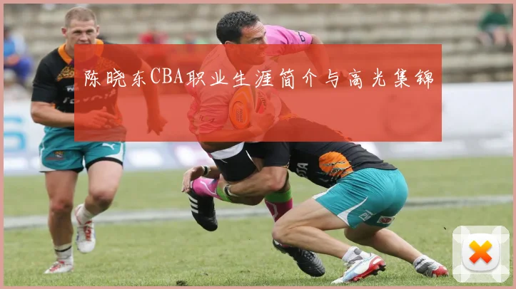 陈晓东CBA职业生涯简介与高光集锦