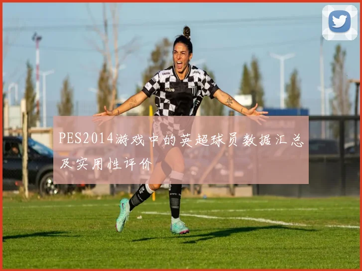 PES2014游戏中的英超球员数据汇总及实用性评价