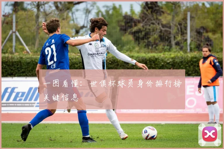 一图看懂：世俱杯球员身价排行榜关键信息